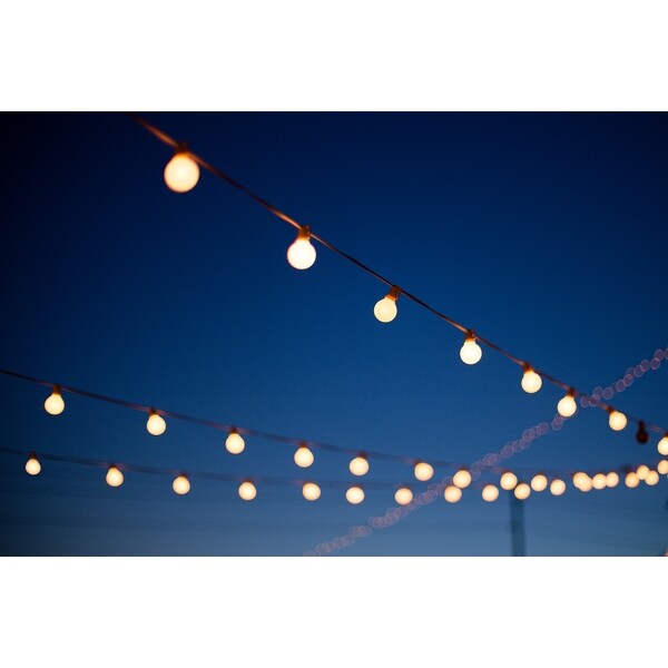 LEDPAX 50-Light 50 ft. Indoor and Outdoor LED String Light, Black - 50 Foot