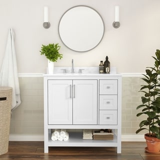 Bathroom Vanity with Sink, Open Storage, and Storage Drawers