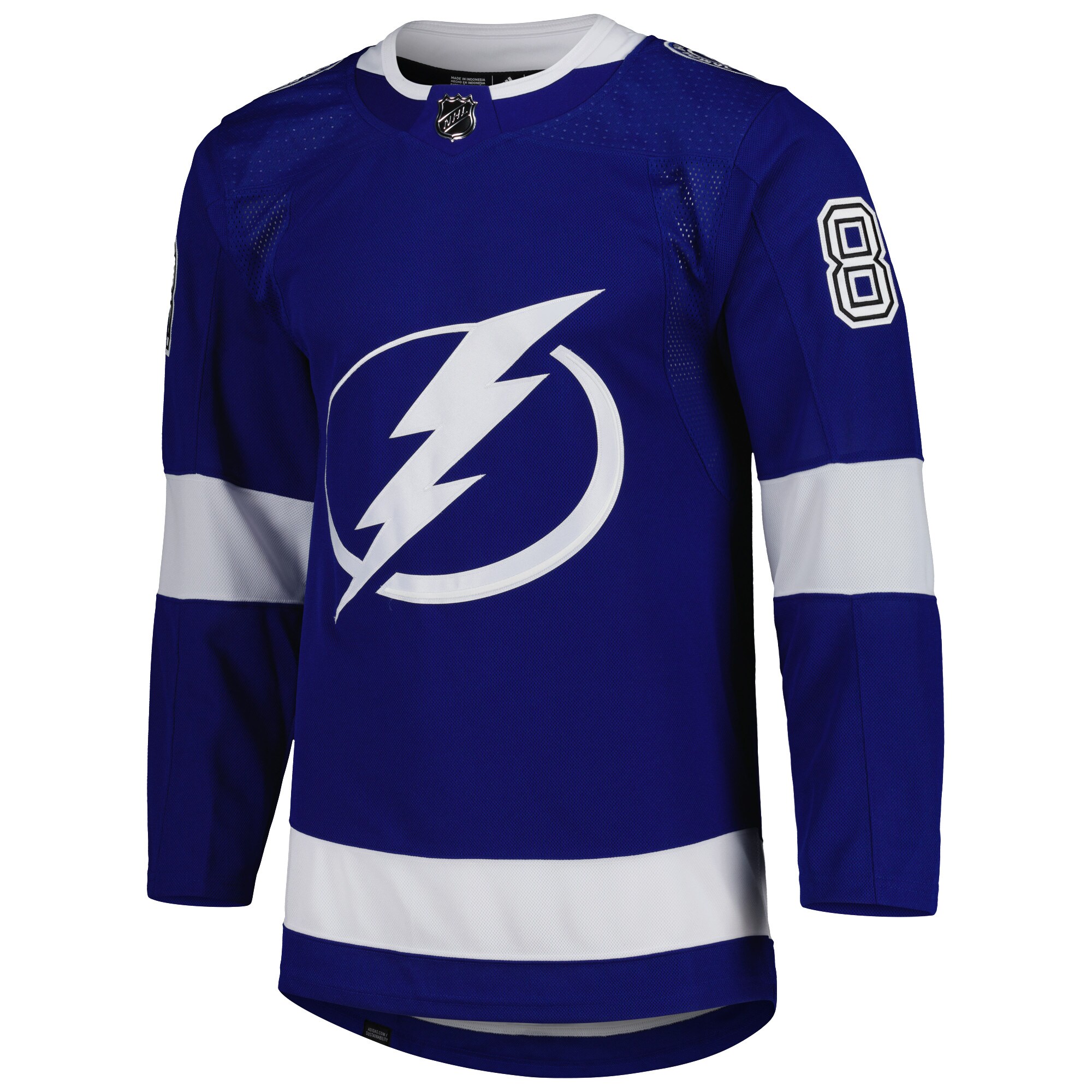 Andrei Vasilevskiy Tampa Bay Lightning adidas  Primegreen Authentic Pro Player Jersey - Blue