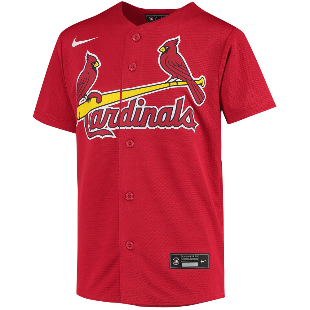Youth St. Louis Cardinals Paul Goldschmidt Alternate Player Jersey - Red