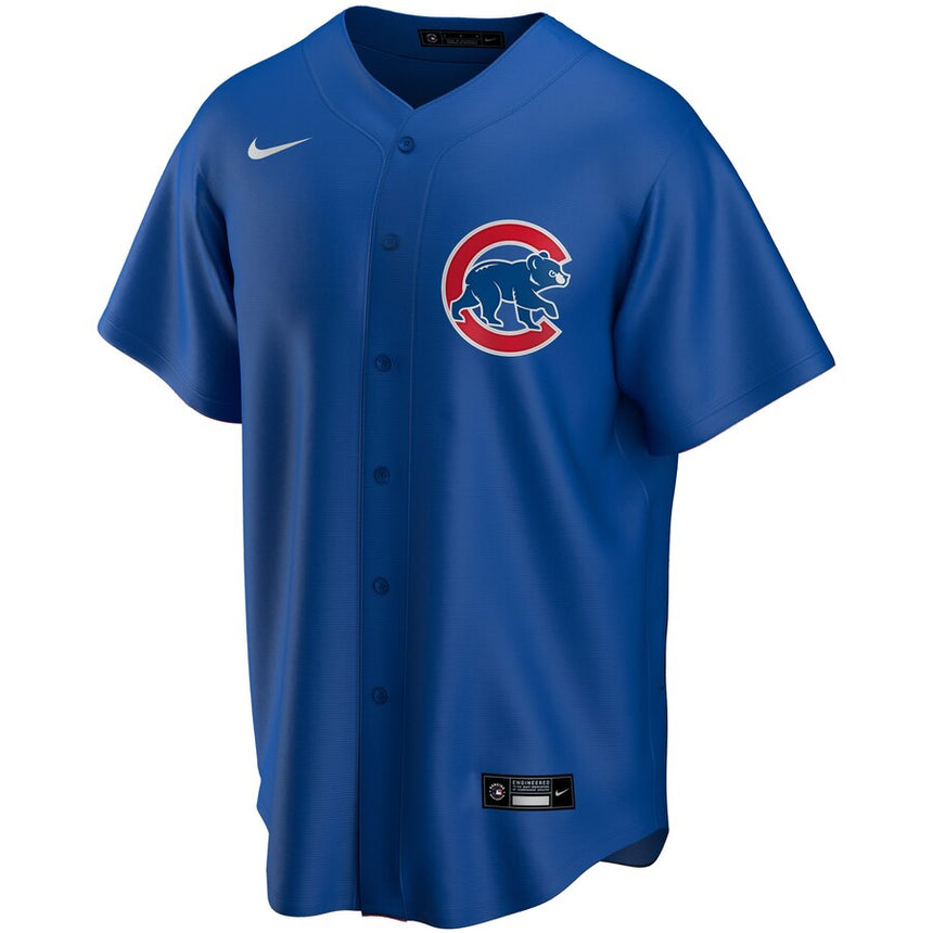 Men's Anthony Rizzo Chicago Cubs Blue Alternate Replica Jersey