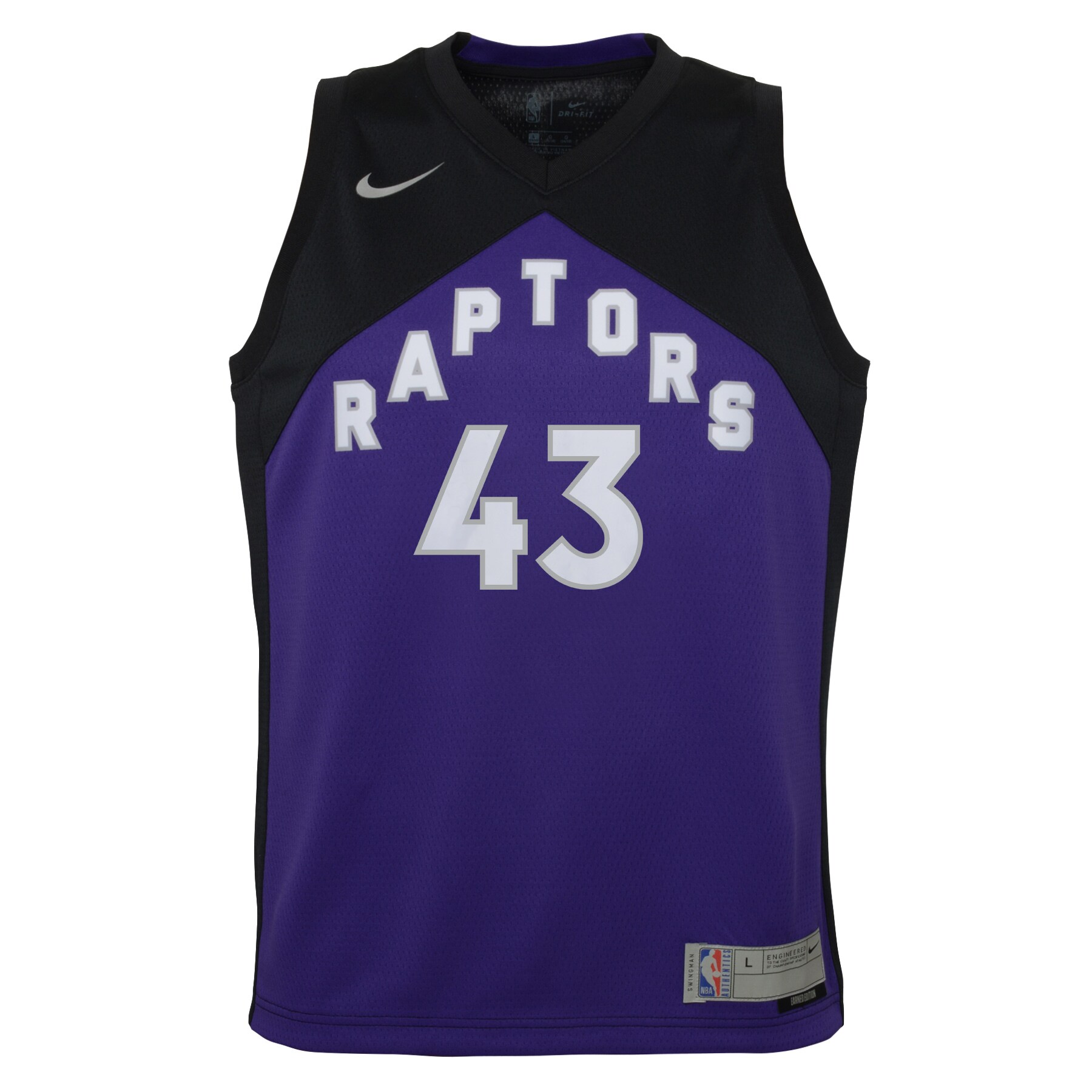 Pascal Siakam Toronto Raptors Nike Youth 2020/21 Swingman Player Jersey Black/Purple - Earned Edition