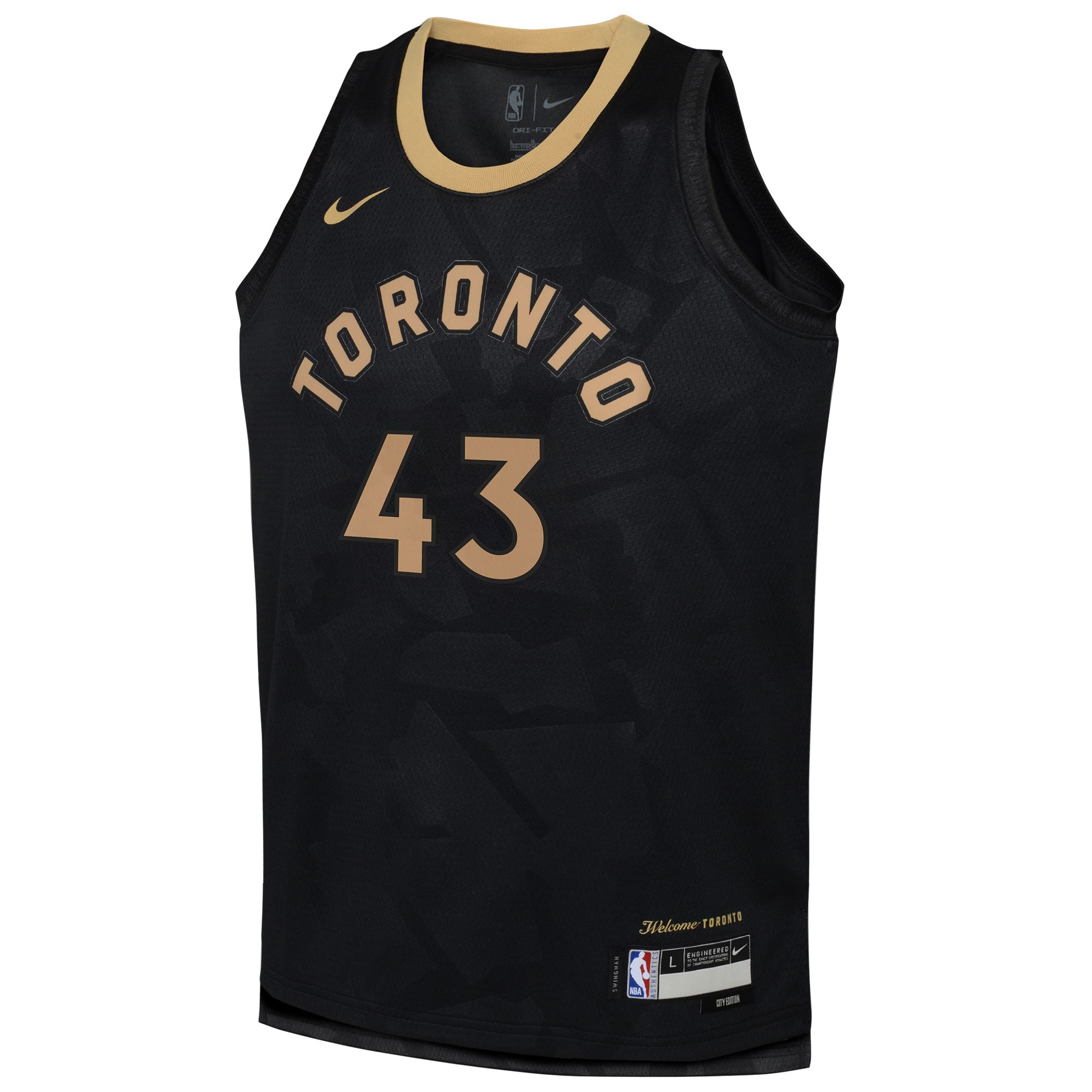 Pascal Siakam Toronto Raptors Nike Youth 2022/23 Swingman Jersey - City Edition - Black