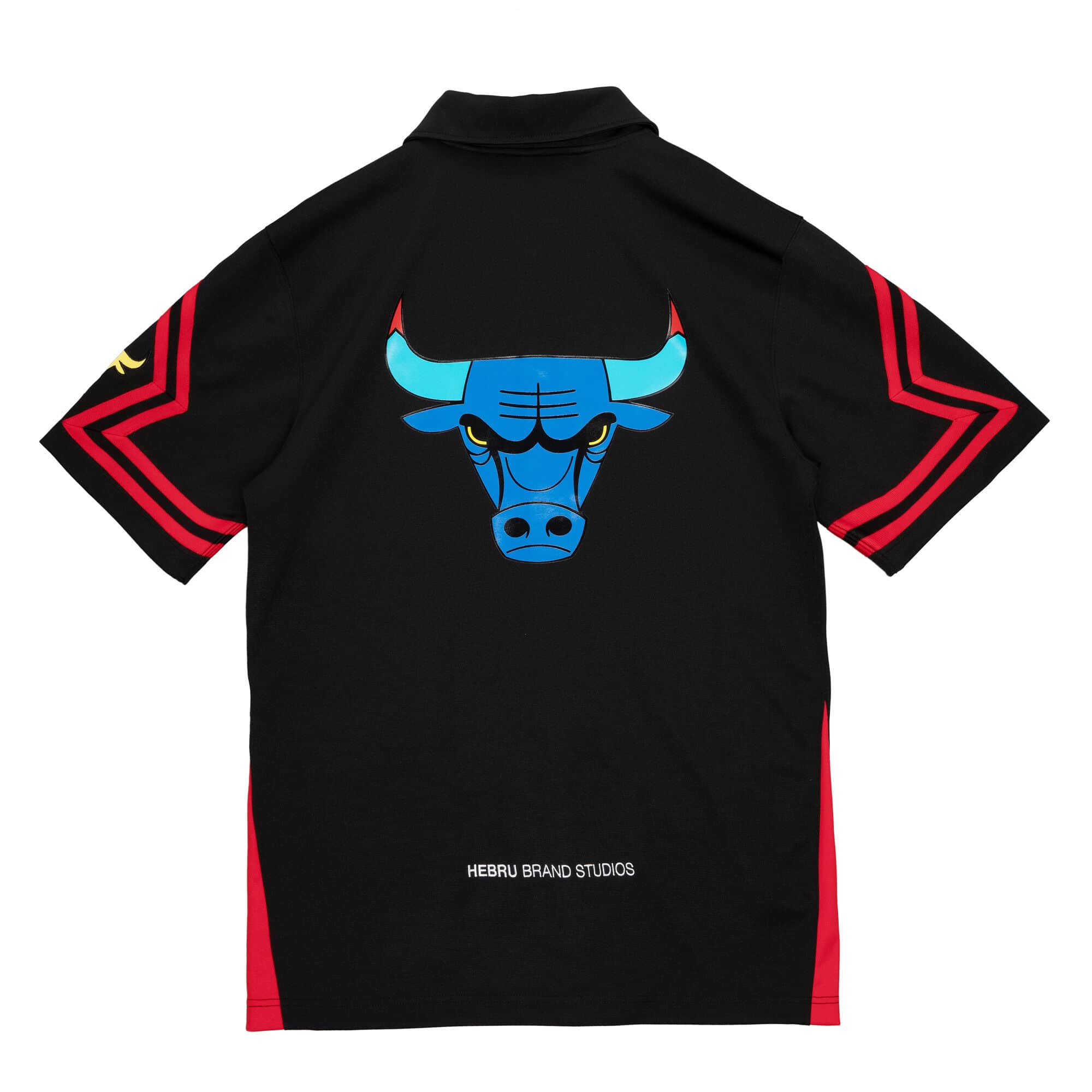 Hebru Shooting Shirt Chicago Bulls
