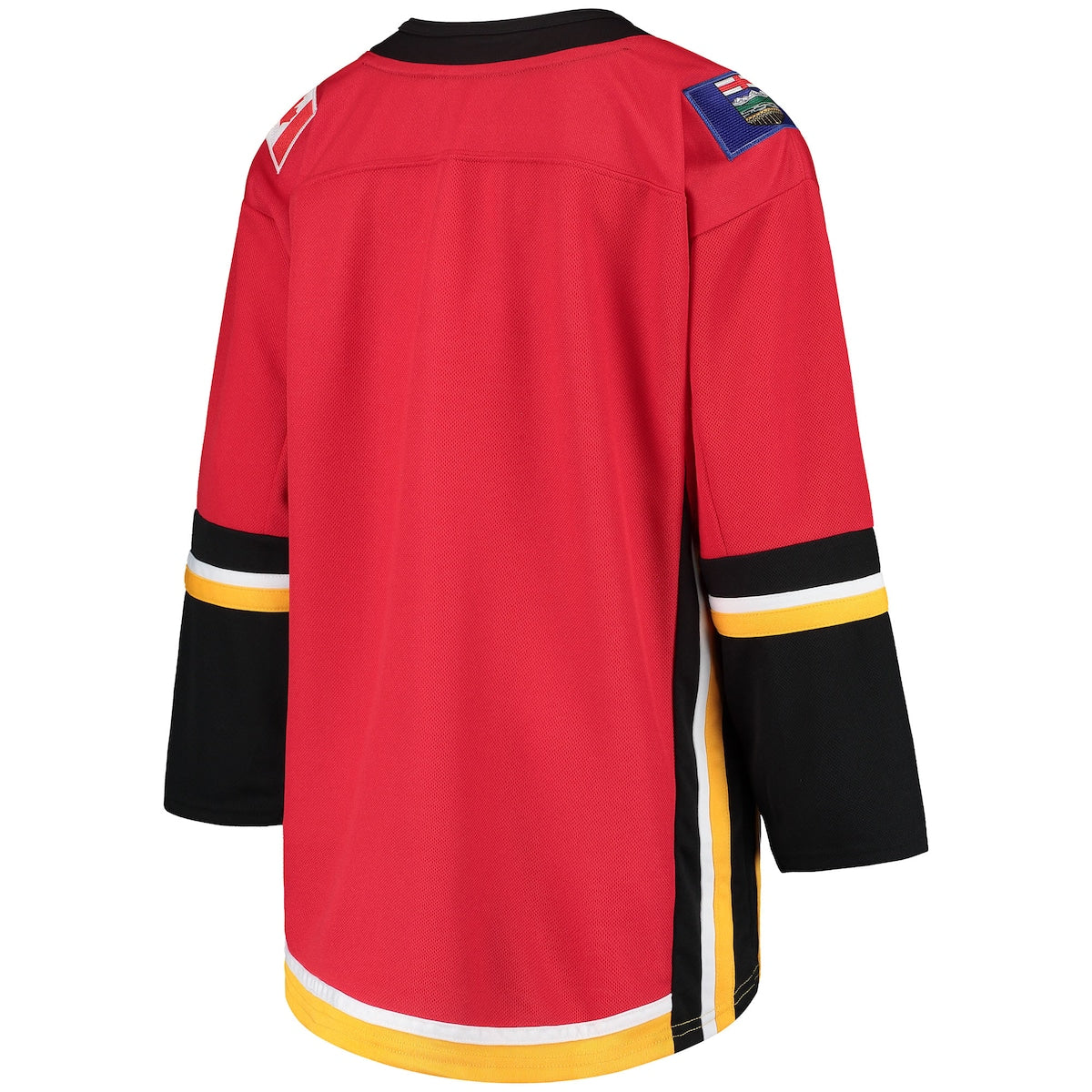 Boys' Grade School  Outerstuff Flames 2020/21 Alternate Premier Jersey - Red