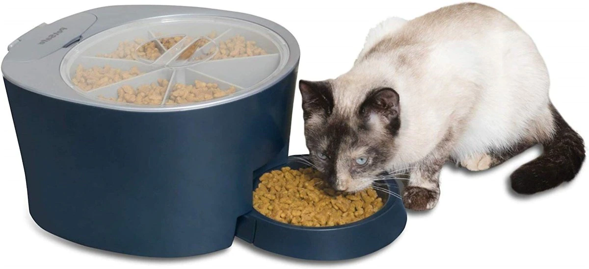 PetSafe 6-Meal Automatic Dog & Cat Feeder. Blue