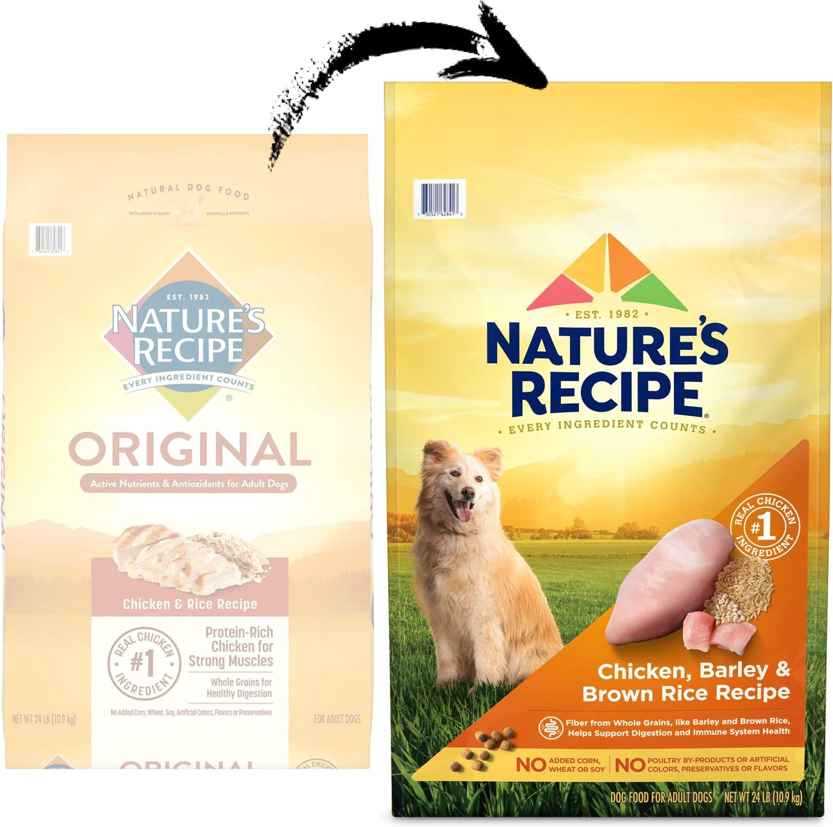 Nature-s Recipe Adult Chicken. Barley & Brown Rice Recipe Dry Dog Food -  24-lb bag