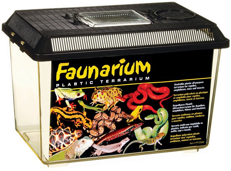 Exo Terra Faunarium. Plastic Reptile Terrarium. Medium