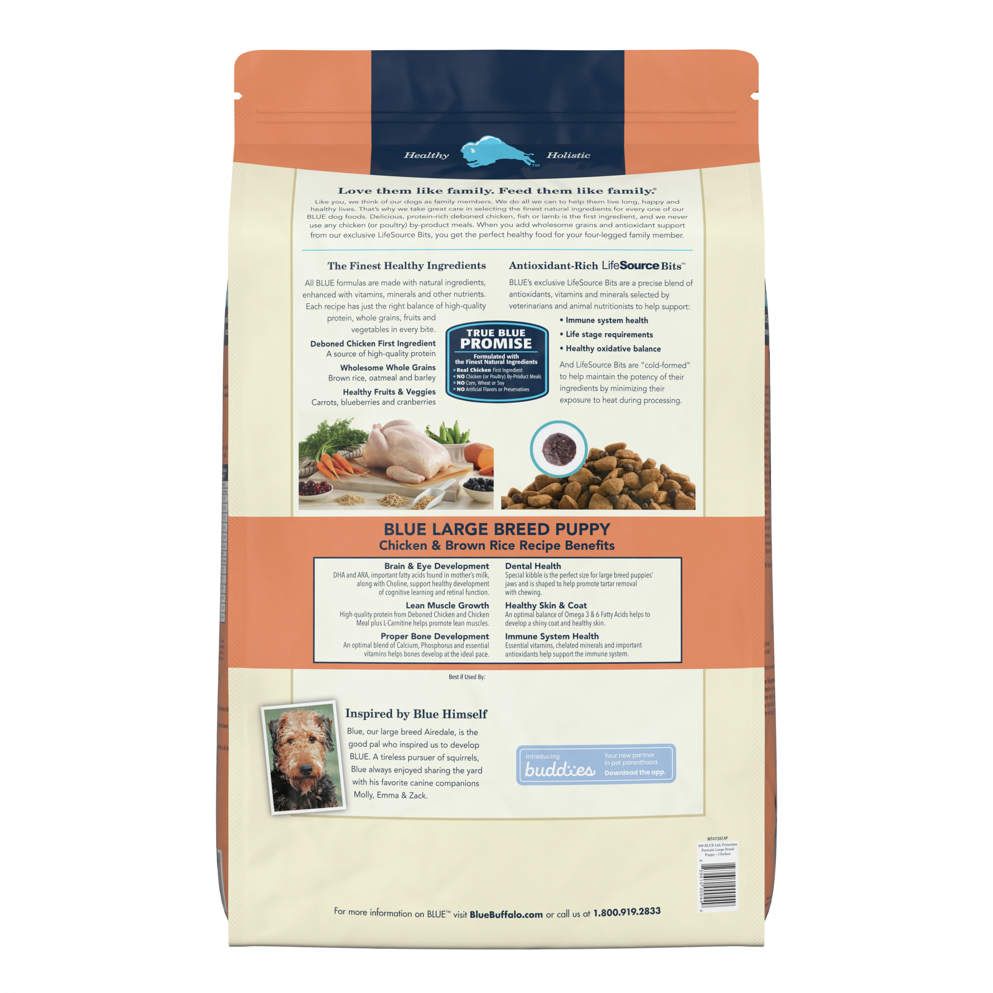 Blue Buffalo Blue Life Protection Formula Natural Puppy Large Breed Chicken and Brown Rice Dry Dog Food. 30 lbs.
