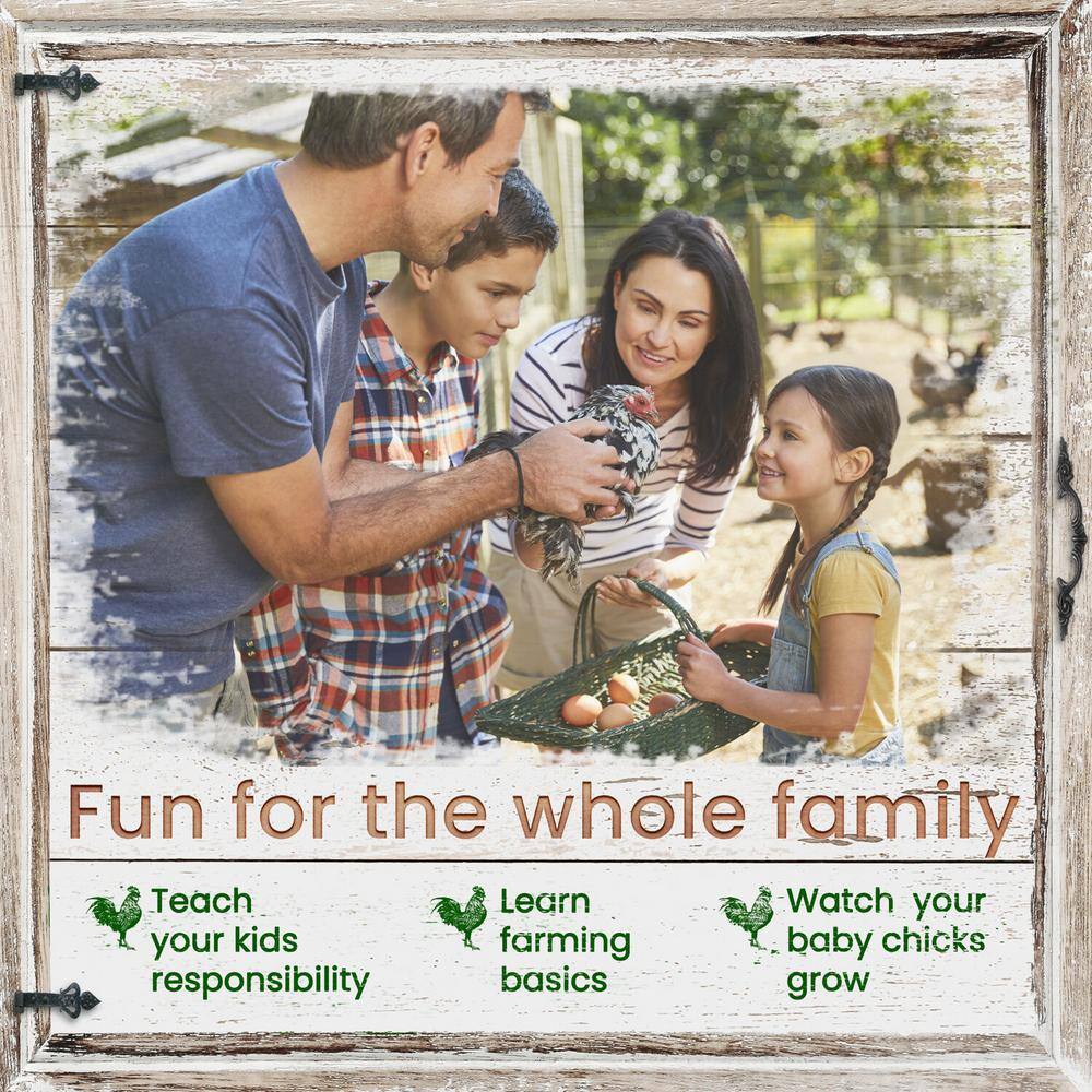 Hanover HANCC0103-YEL Outdoor Wooden Chicken Coop with Ram