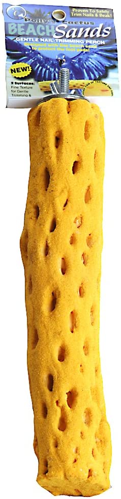 Polly-s Beach Sands Bird Perch. Large