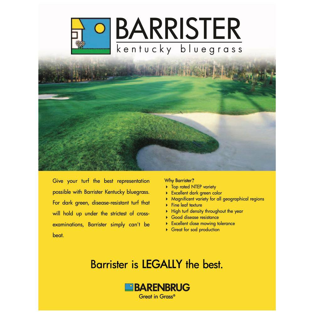 Barenbrug 25076 50 lb. Barrister Kentucky Bluegrass Seed