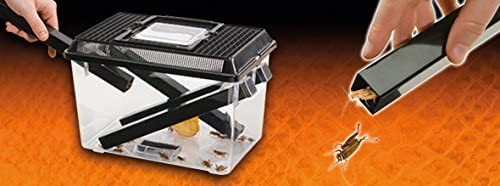 Exo Terra Cricket Pen Size: Large (12″ x 8″ x 7.6″)