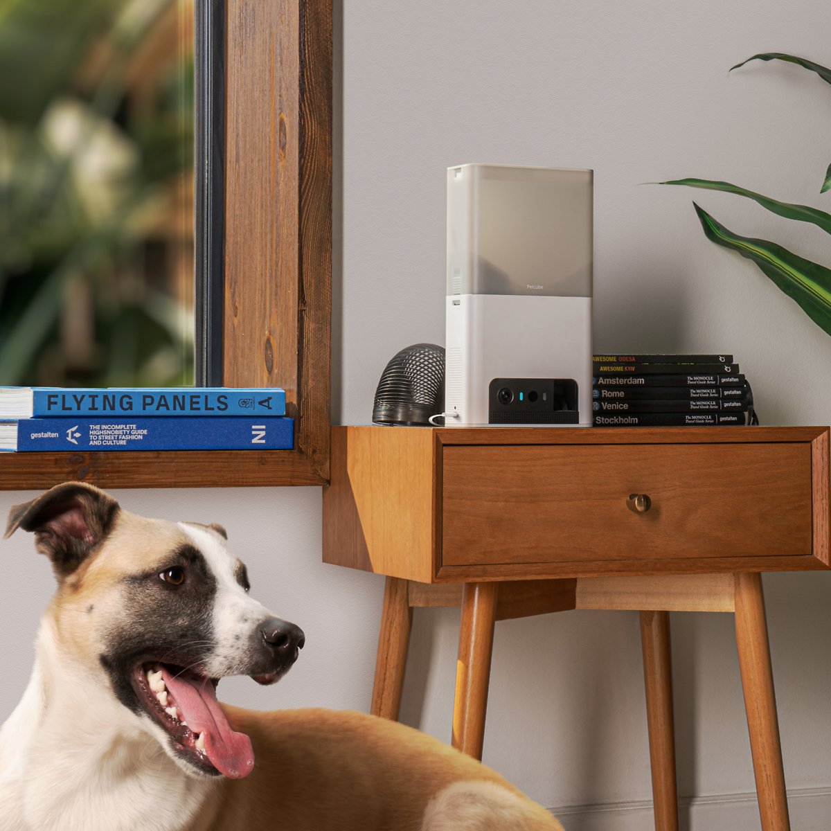 Petcube Bites 2 Lite Interactive WiFi Pet Monitoring Camera with Phone App and Treat Dispenser. 1080p HD Video. Night Vision. Two-Way Audio. Sound and Motion Alerts. Cat and Dog Monitor