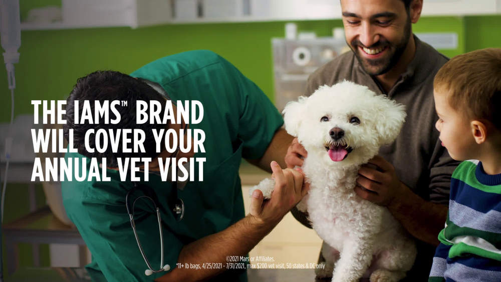 IAMS Smart Puppy with Real Chicken Dry Dog Food for Large Breed Puppy. 30.6 lb Bag