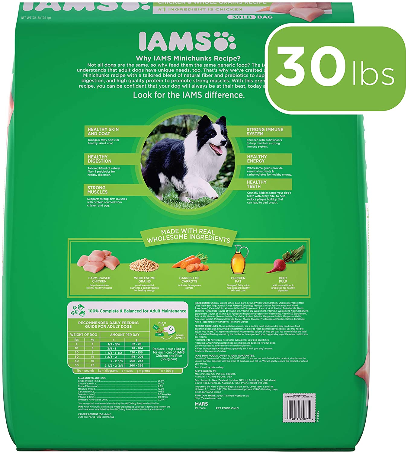 IAMS Minichunks Adult Dry Dog Food. Chicken. Style: Dry Food