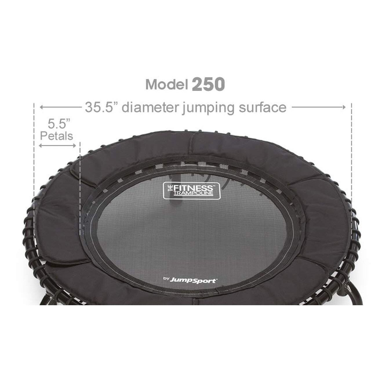 JumpSport Rebounder 39-ft Round Mini in Black
