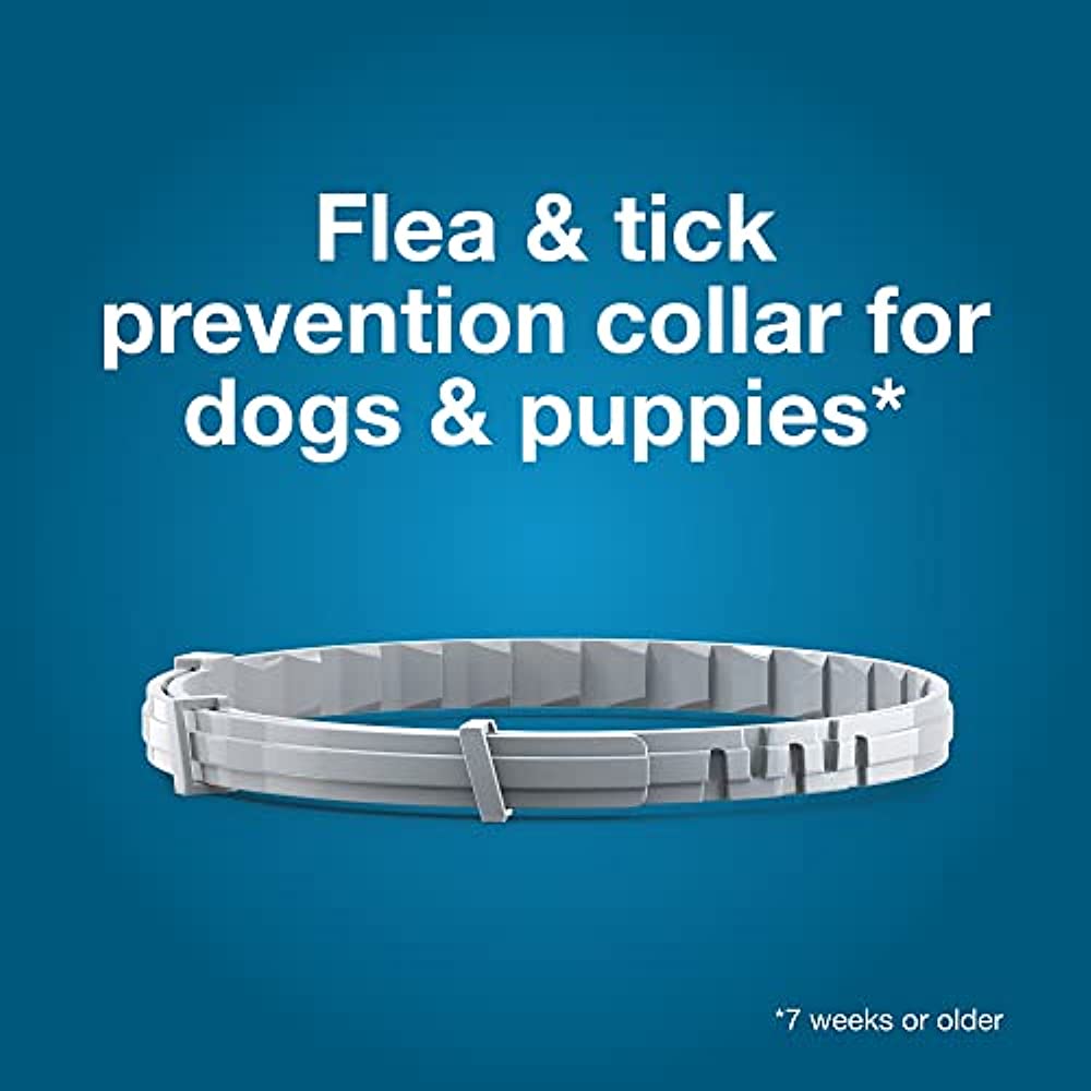 Seresto Large Dog Vet-Recommended Flea and Tick Treatment and Prevention Collar for Dogs Over 18 lbs. - 8 Months