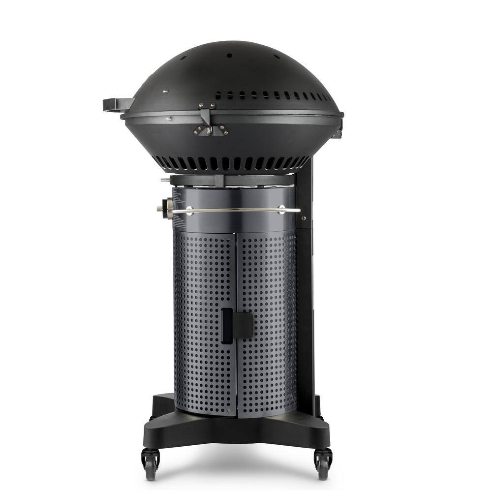 Fuego F24C Professional F24C Propane Gas Grill