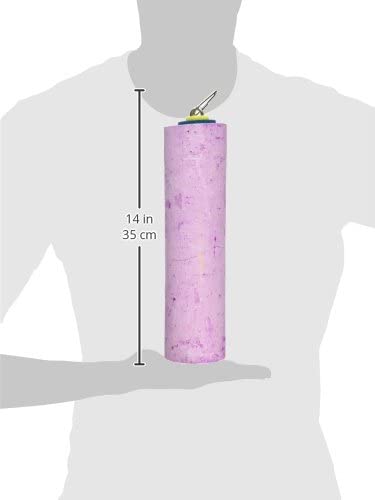 Polly-s Nutty Log Cactus Snack Bird Chew Toy