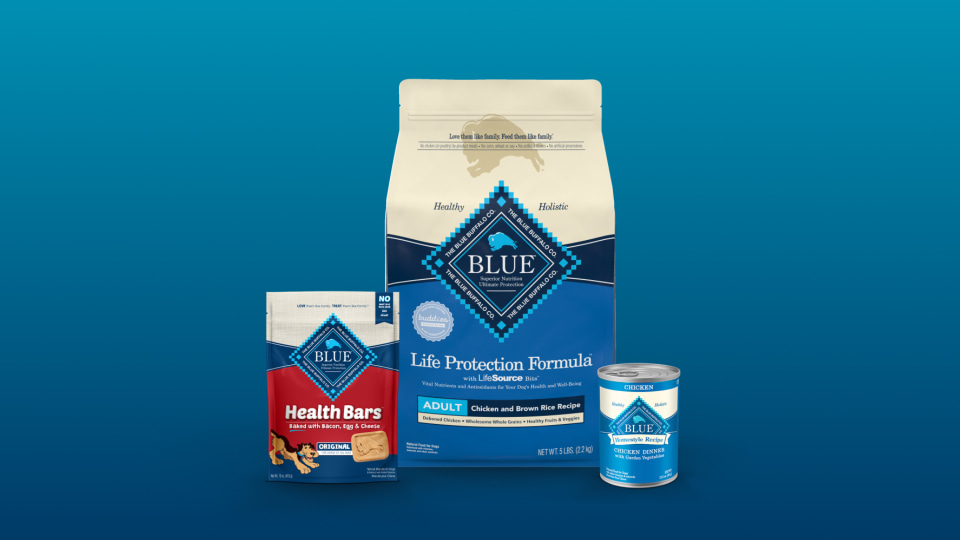 Blue Buffalo Life Protection Formula Small Breed Chicken and Brown Rice Dry Dog Food for Adult Dogs. Whole Grain. 15 lb. Bag