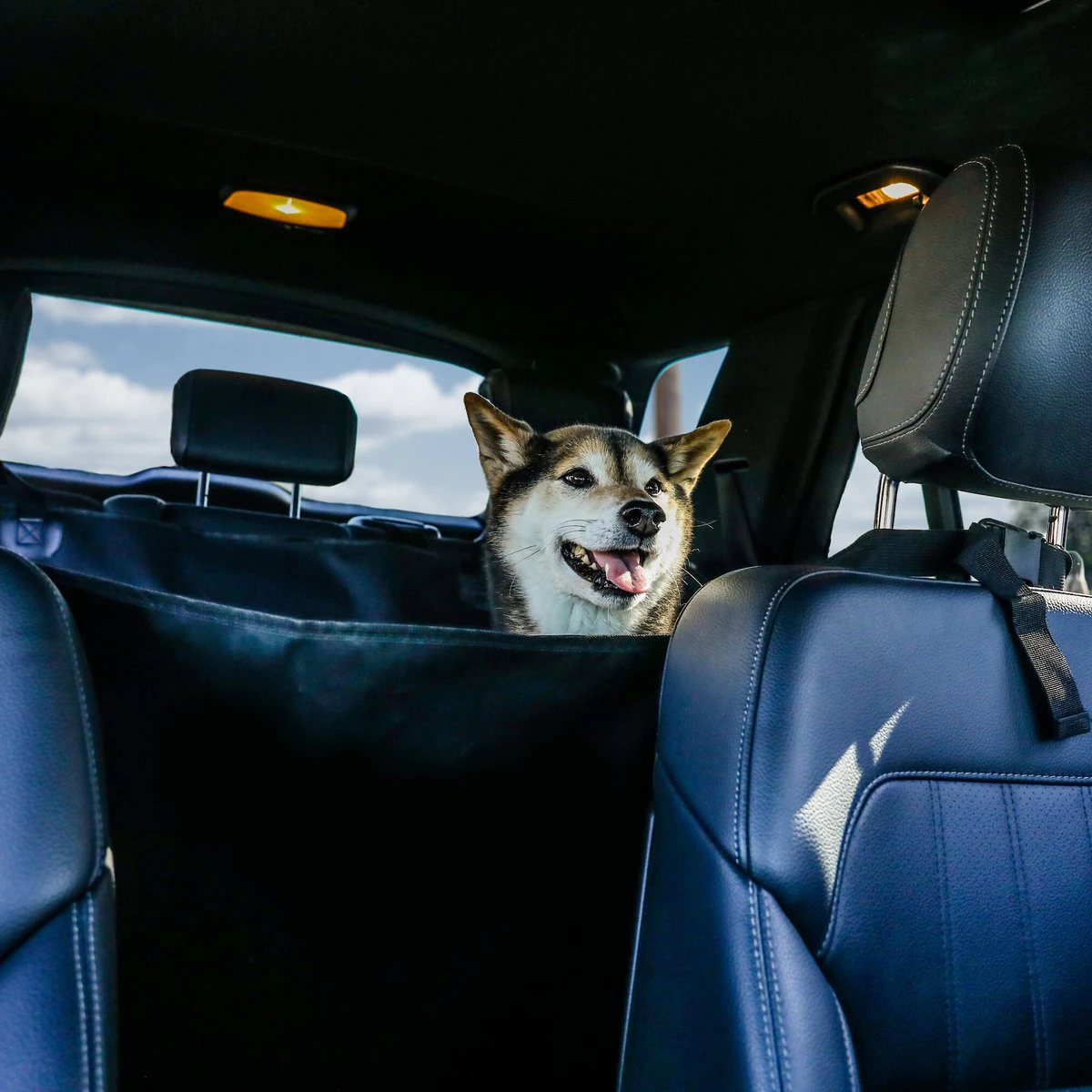 BarksBar Luxury Pet Car Seat Cover with Seat Anchors for Cars. (60″ x 64″)