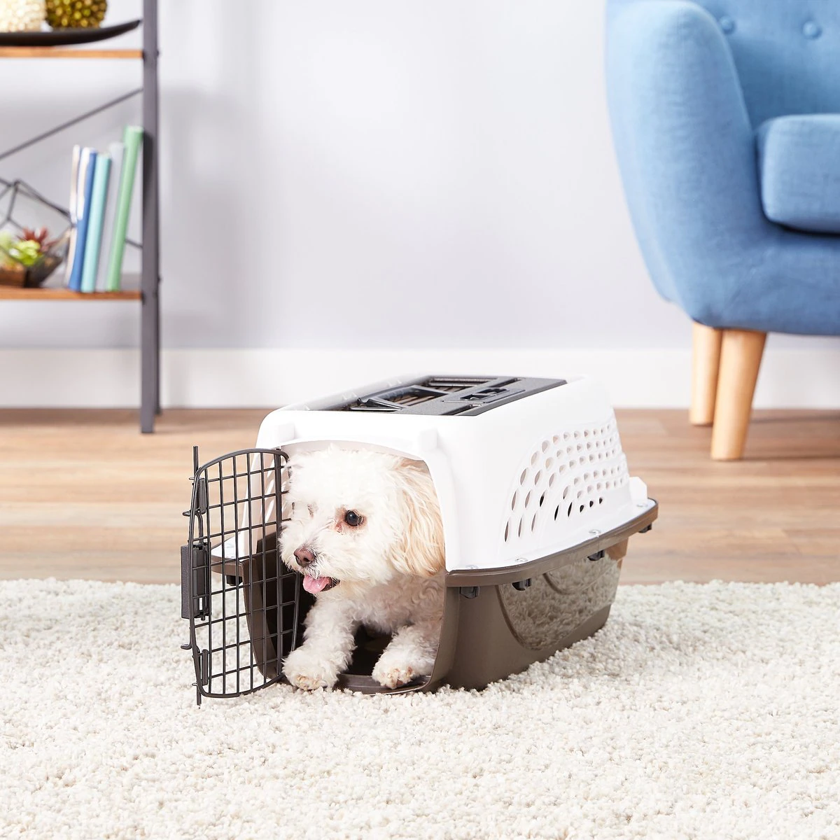 Petmate Two Door Pet Kennel for Pets up to 15 Pounds. Small White