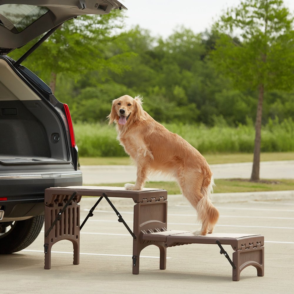 Pet Gear Free-Standing Foldable Dog Car Steps - Chocolate