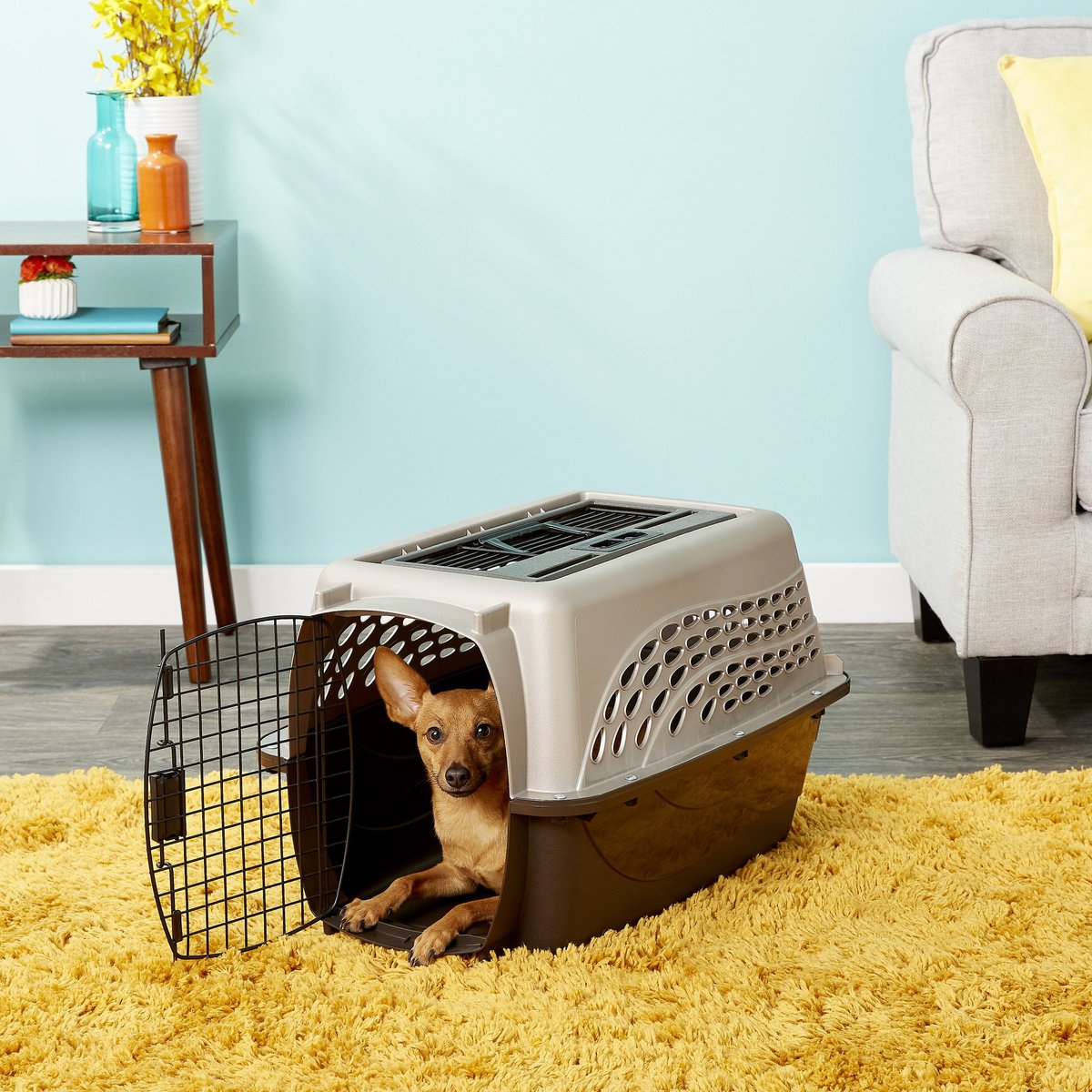 Petmate Two Door Pet Kennel for Pets up to 15 Pounds. Medium Tan