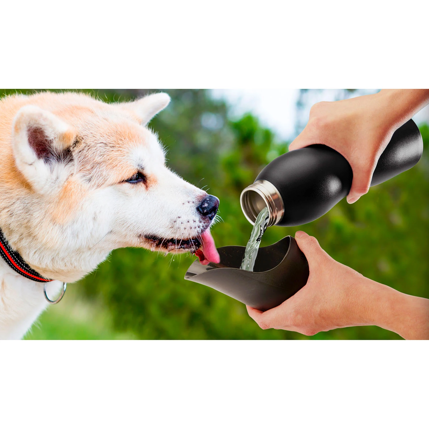 Mobile Dog Gear Water Bottles. 2 - 25 oz. (Choose Your Color)