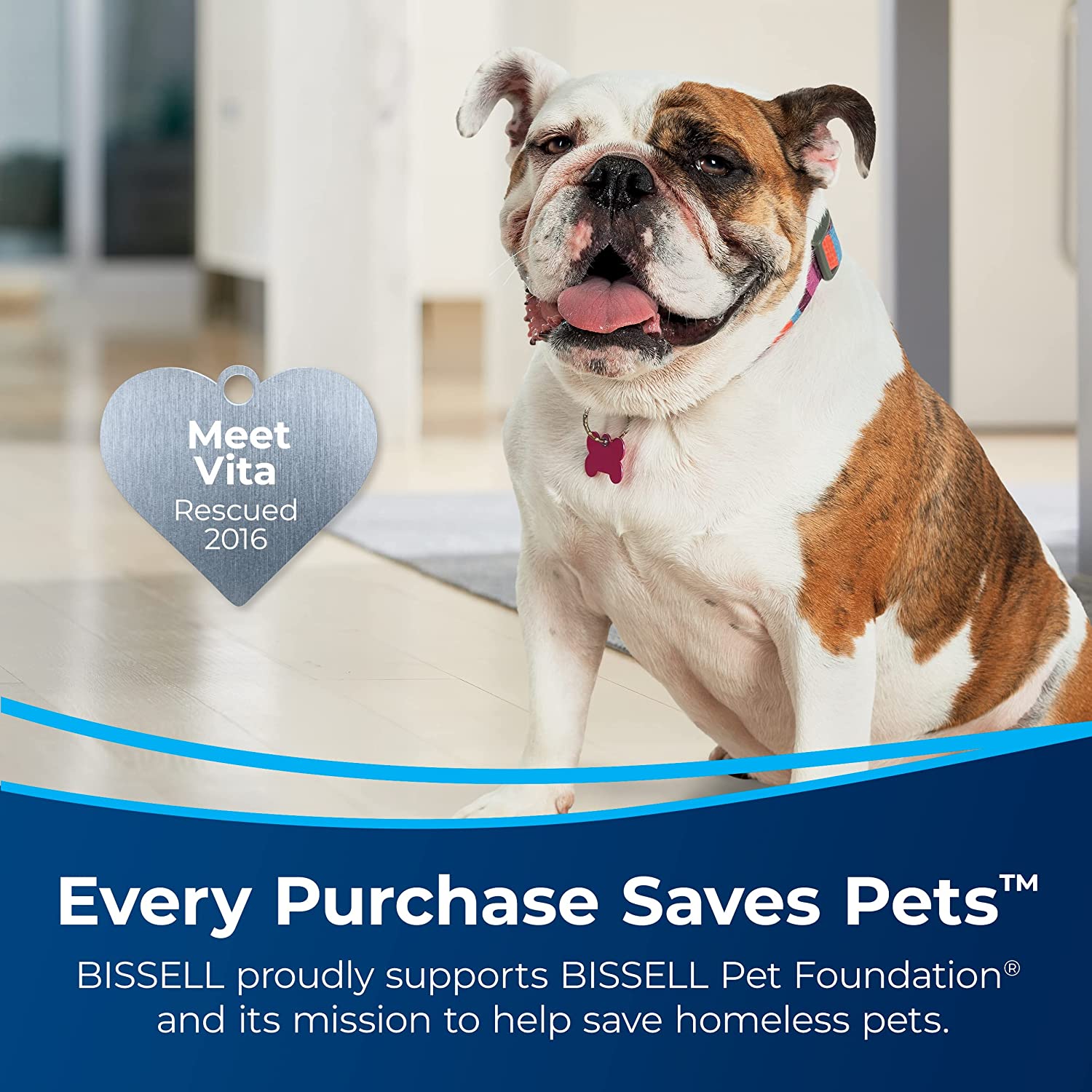 BISSELL Little Green Pro Portable Carpet & Upholstery Cleaner with Deep Stain Tool. 3″ Tough Stain Tool. plus two 8 oz. trial-size Formulas. 3194