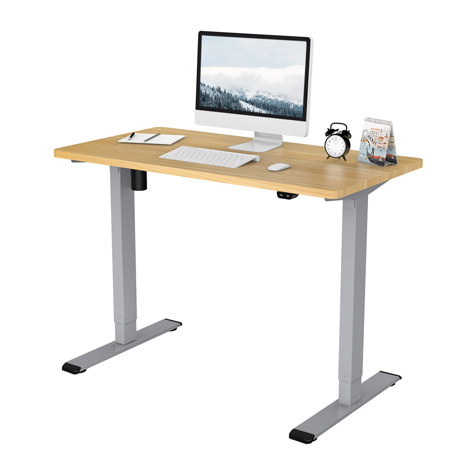 FLEXISPOT 42″x24″ Ergonomic Home Office Electric Height Adjustable Desk Gray Frame and Maple Desktop