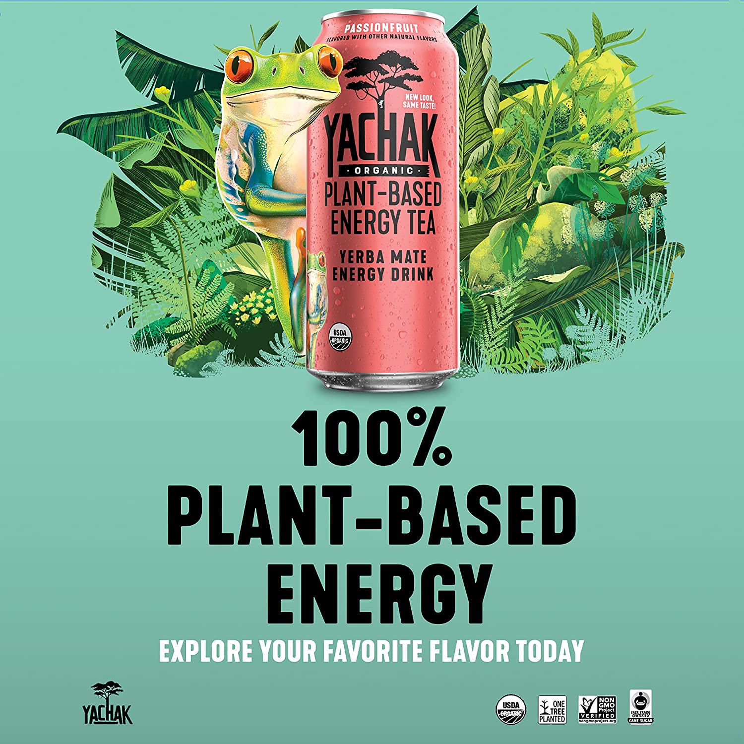 Yachak Yerba Mate Drink. Passionfruit. 16 Fl Oz. 12 Count