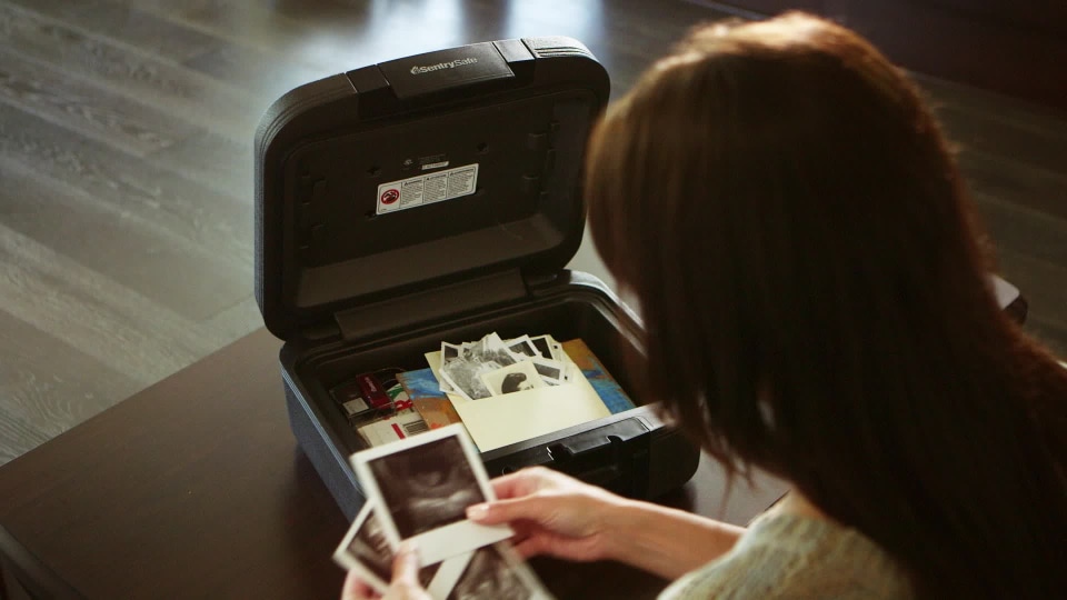 SentrySafe 1200 Fire-Resistant Box Safe with Key Lock 0.18 cu. ft.. Black