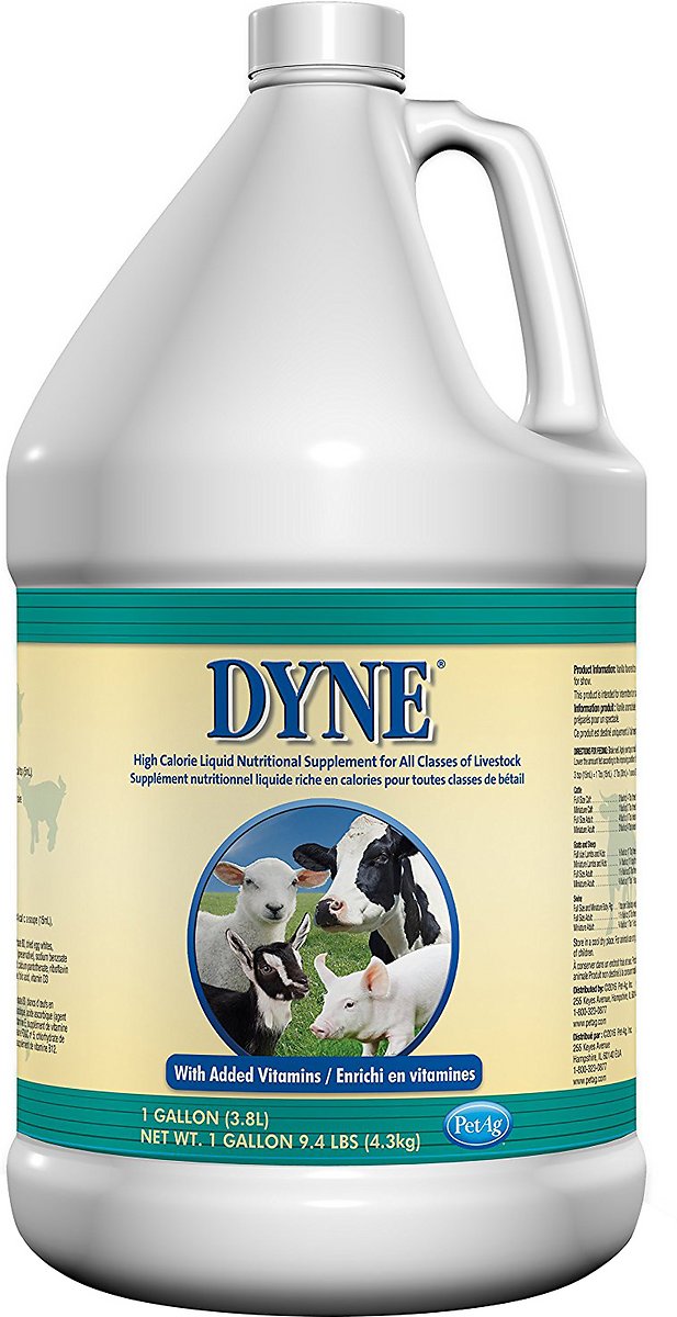 PetAg Dyne High Calorie Liquid Livestock Supplement. 1-gallon bottle