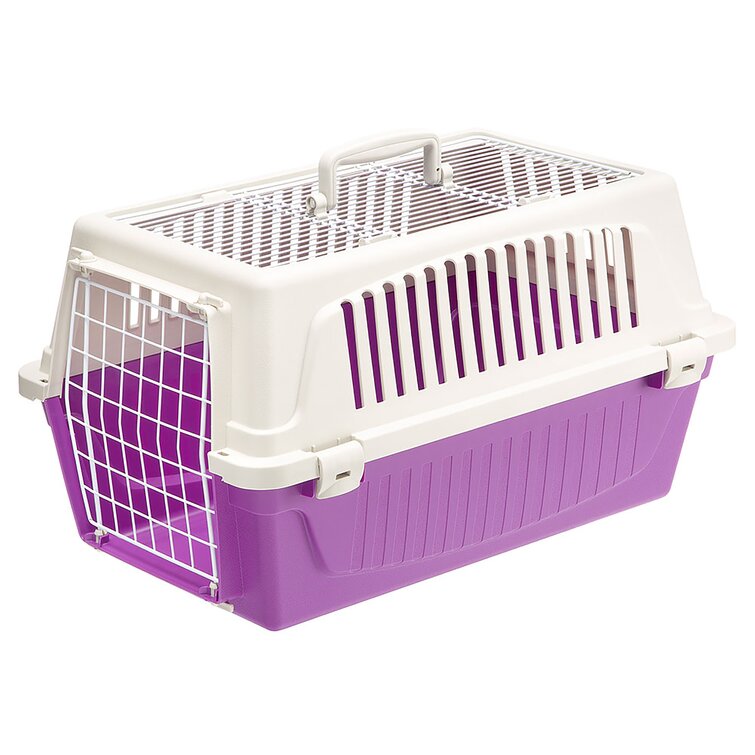 ATLAS 20 OPEN Top Carrier Purple