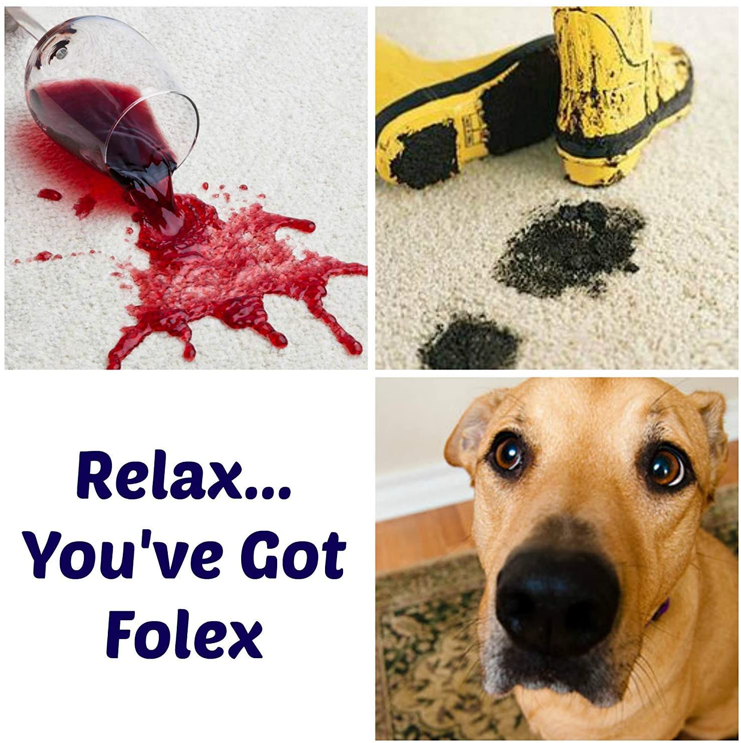 Folex Instant Carpet Spot Remover Kit - 32 OZ Spray Folex Carpet