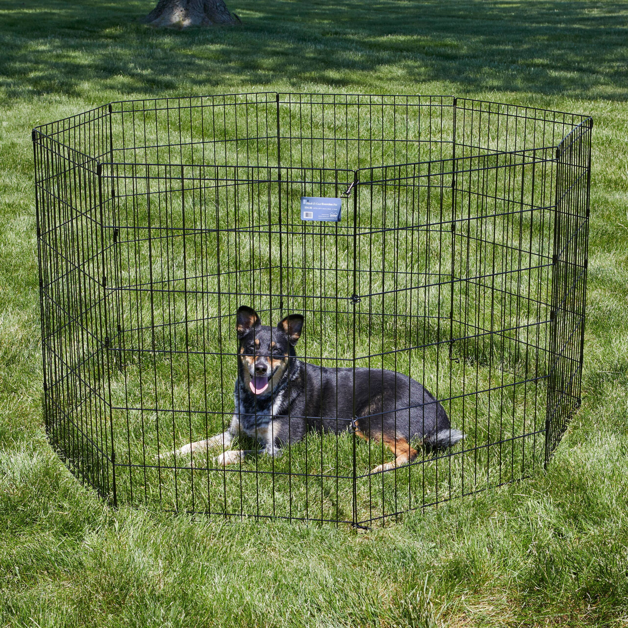 MidWest Foldable Metal Exercise Pet Dog Playpen without Door. 36″H