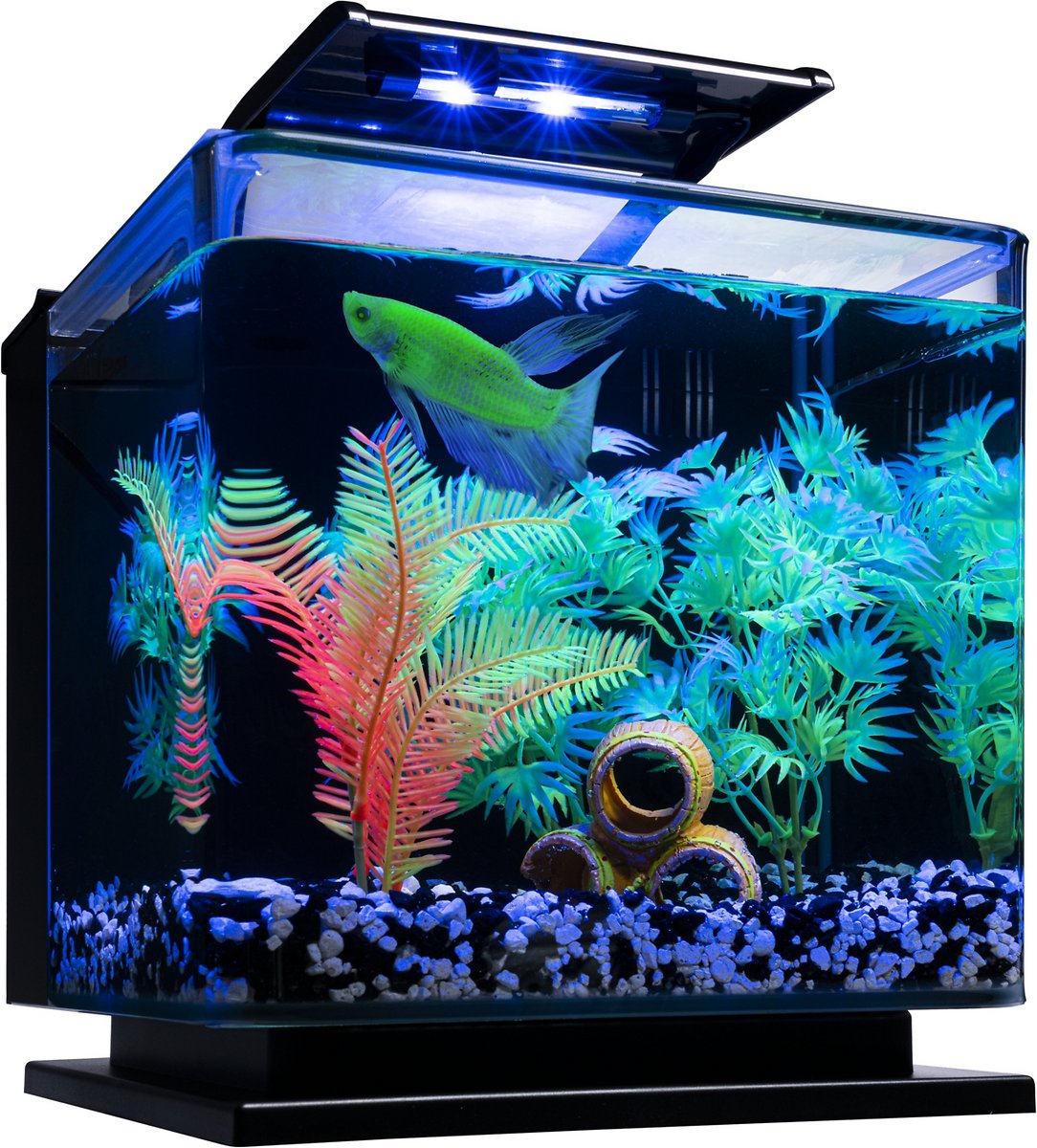 GloFish Betta Fish Aquarium Kit. 3-gal