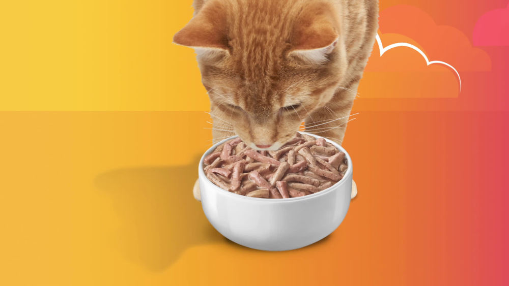 Purina Friskies Surfin- and Turfin- Wet Cat Food Variety Pack. 5.5 oz Cans (40 Pack)