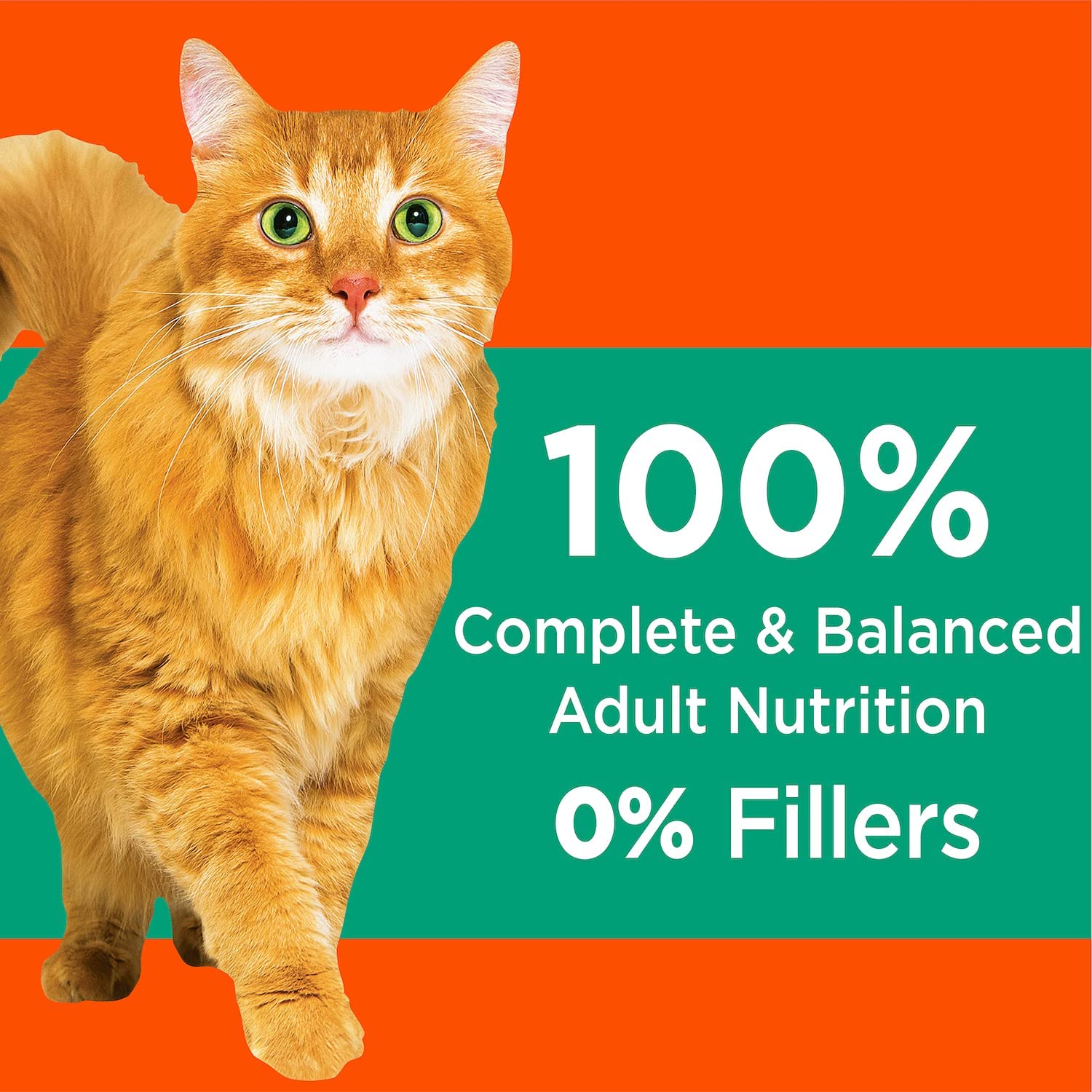 Iams Proactive Health Adult Dry Cat Food. Hairball Care Formula 16LB