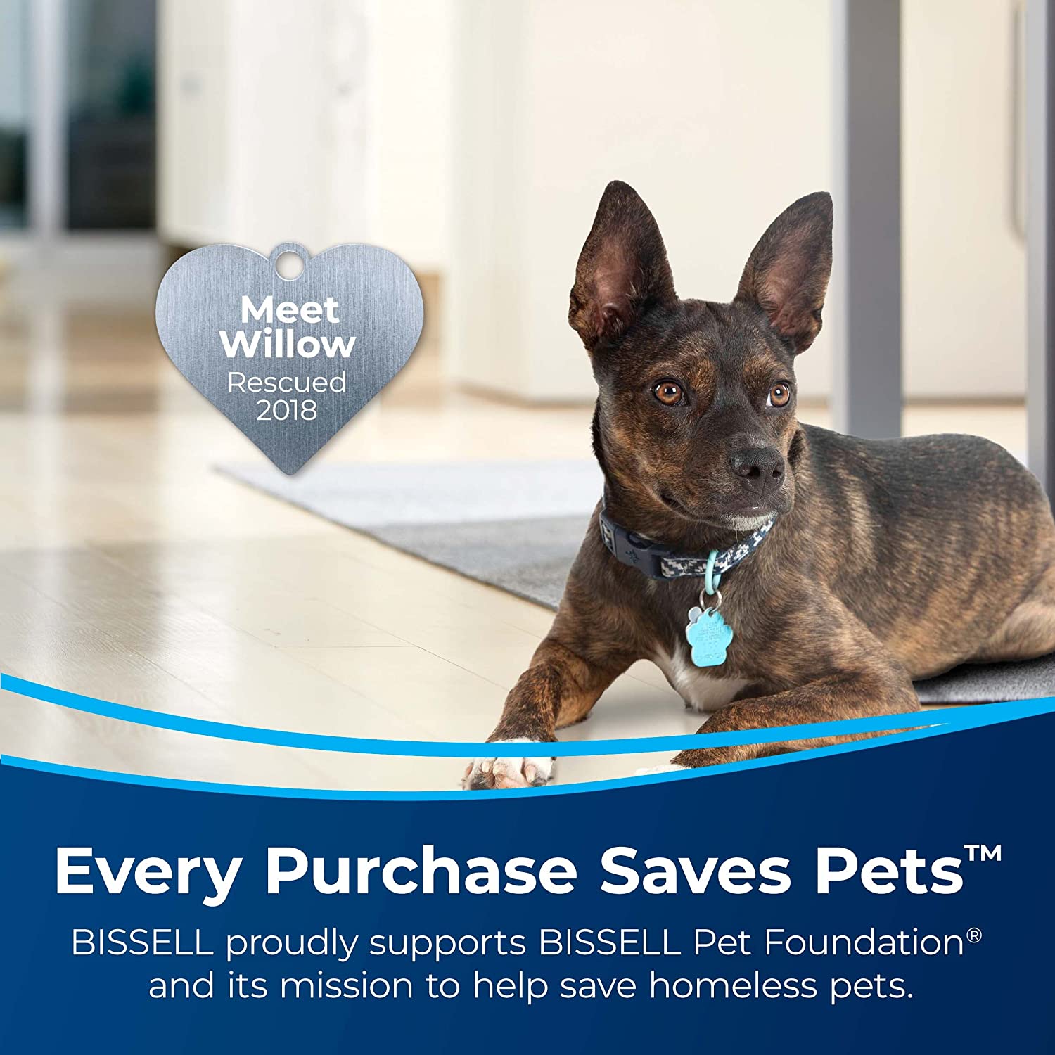 Bissell Little Green Pet Deluxe Portable Carpet Cleaner. 3353. Gray/Blue