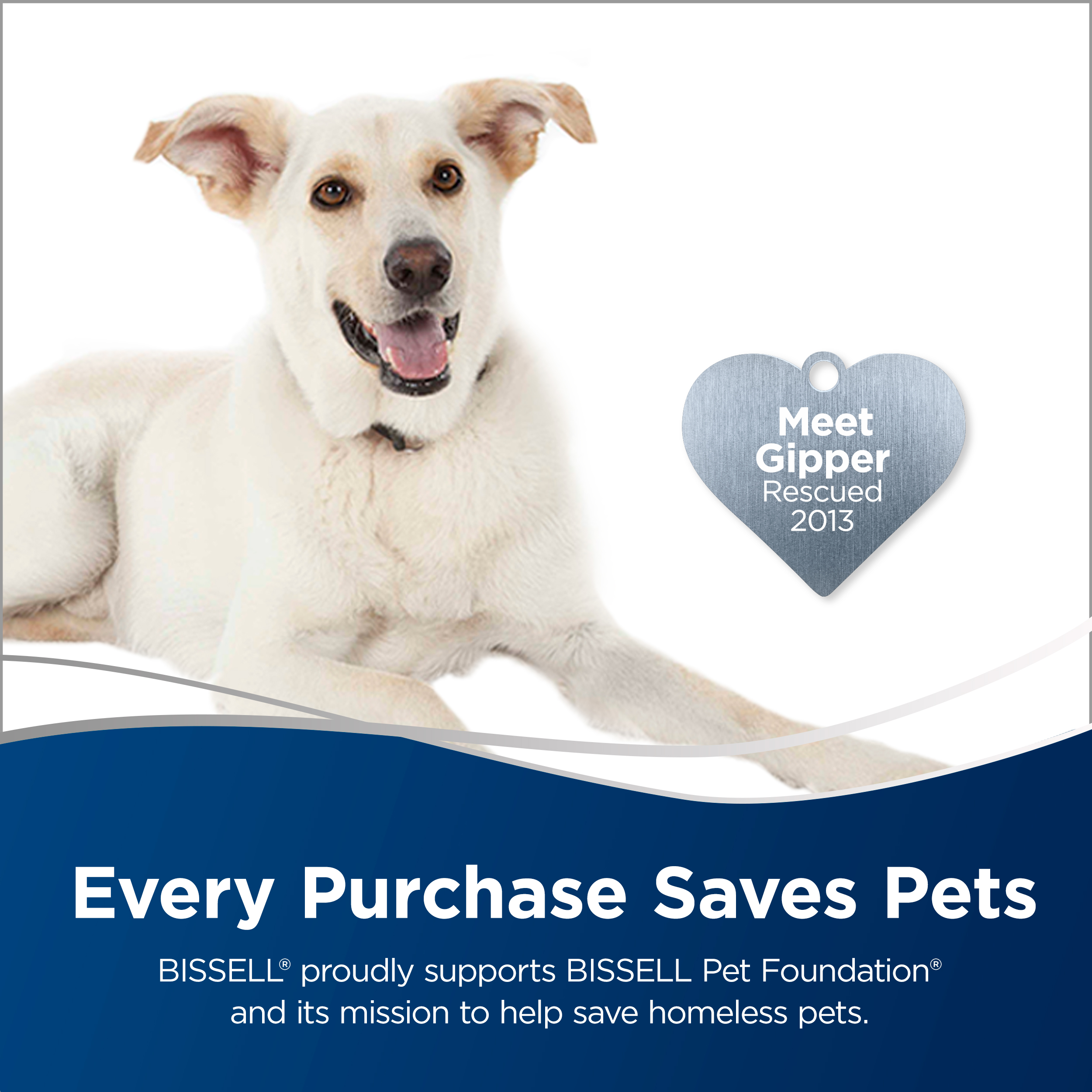 BISSELL Pet Hair Eraser Handheld Vacuum 33A1