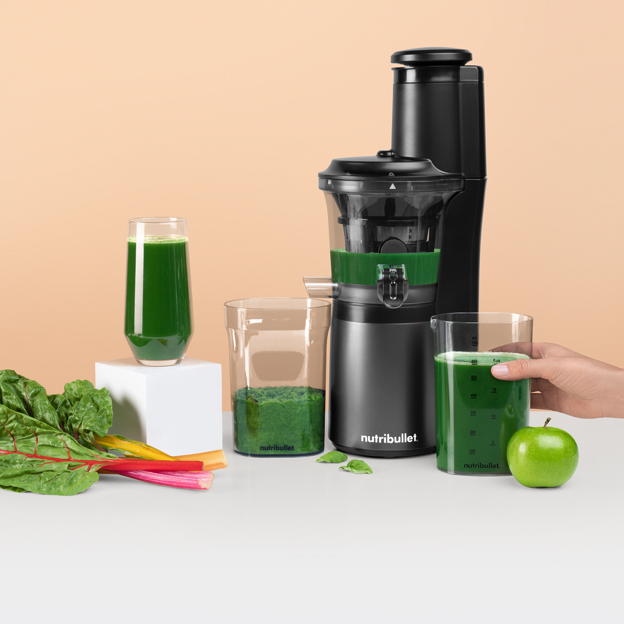 NutriBullet Slow Masticating & Cold Press Juicer NBJ50300