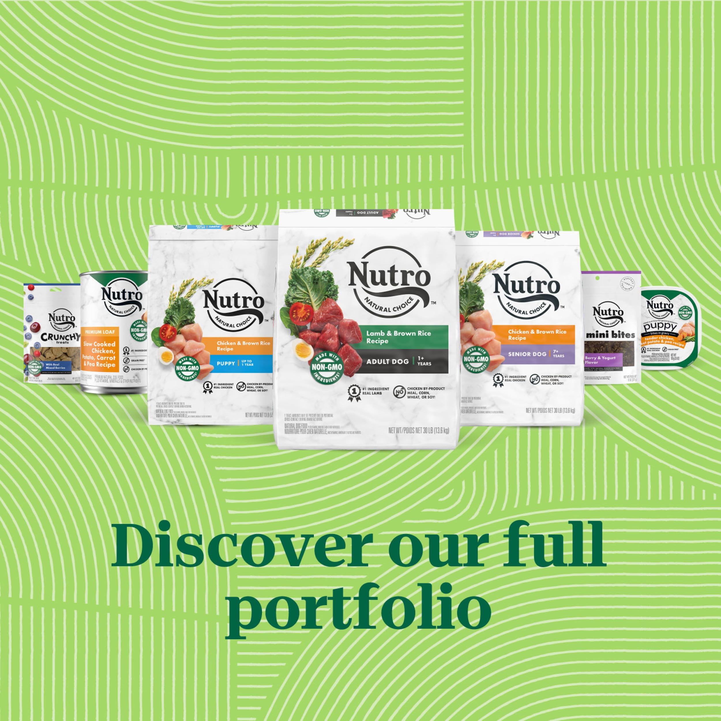 NUTRO NATURAL CHOICE Adult Dry Dog Food. Chicken & Brown Rice Recipe Dog Kibble. 30 lb. Bag