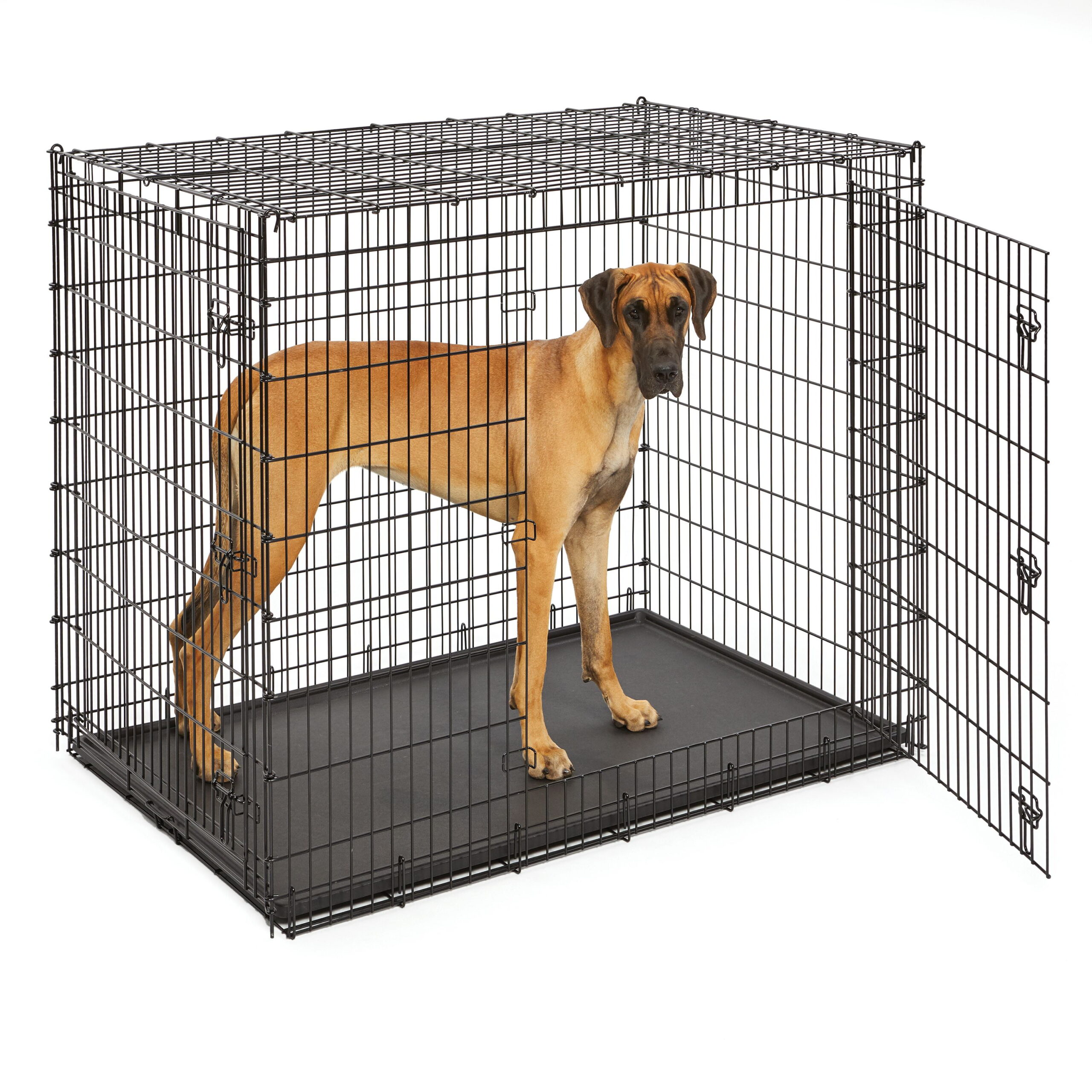 MidWest Homes For Pets XX-Large Double-Door Metal Wire Dog Crate. 54″