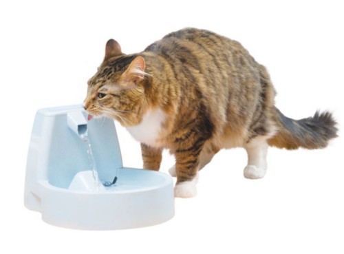 PetSafe Drinkwell Original Pet Fountain