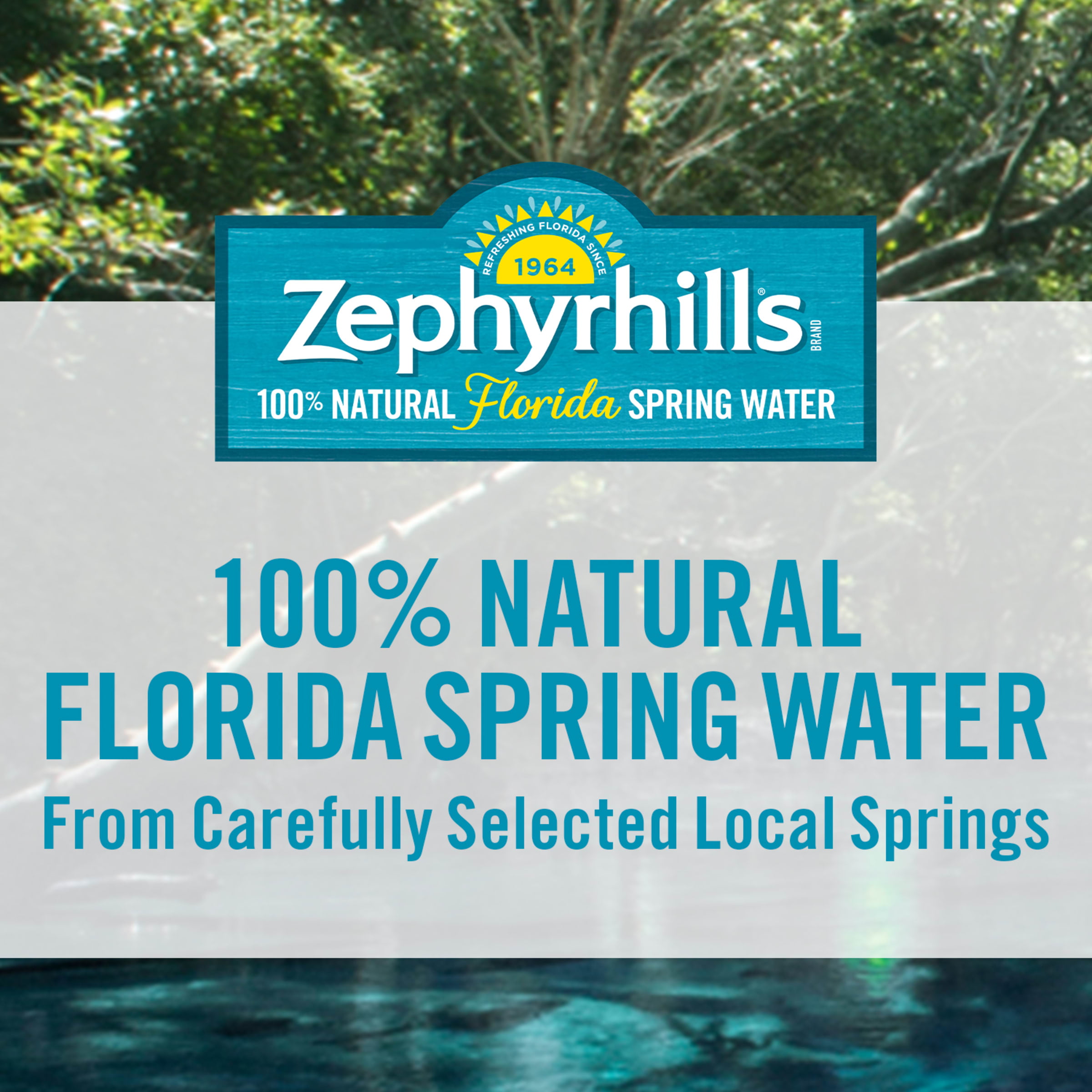 ZEPHYRHILLS Brand 100% Natural Spring Water. 33.8-ounce plastic bottles (Pack of 15)