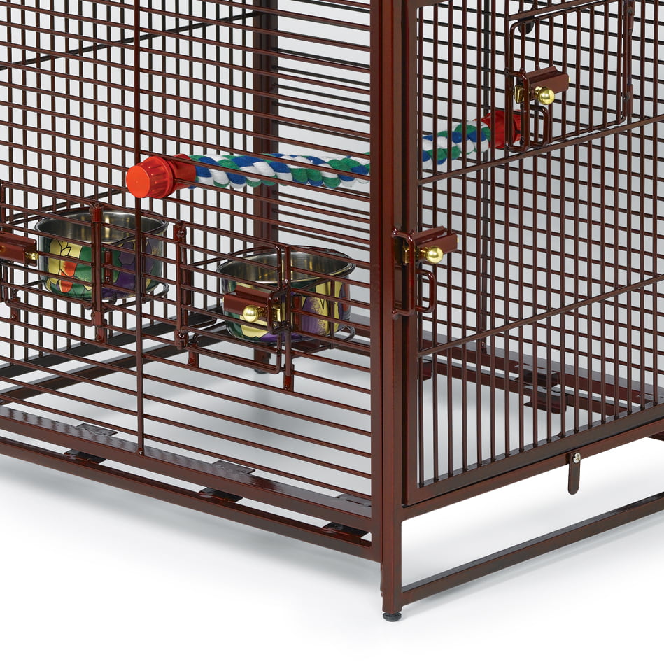 MidWest Homes For Pets Poquito Avian Hotel. Ruby