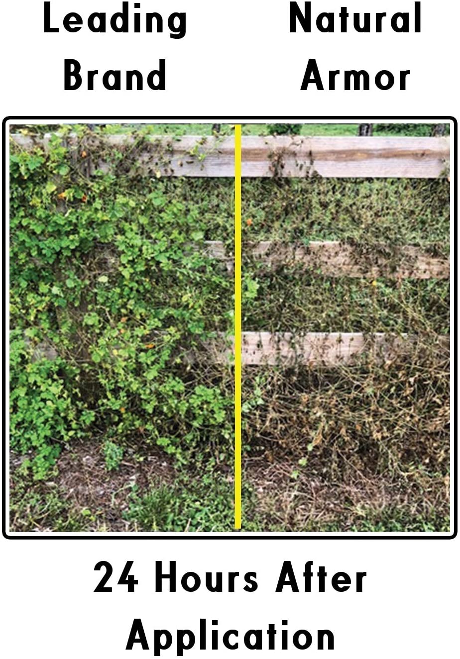 Natural Armor Weed and Grass Killer All. Natural Concentrated Formula (128 OZ. Gallon)